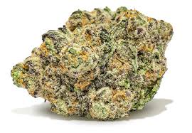GELATO GELATO