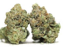 GORILLA GLUE GORILLA GLUE