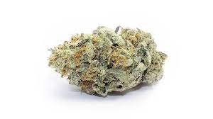 HOLLYWOOD OG HOLLYWOOD OG