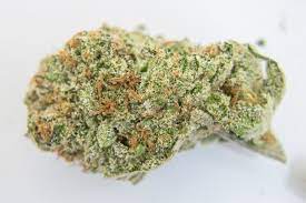 OG KUSH OG KUSH