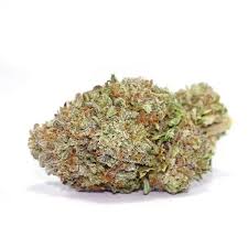PURPLE HAZE PURPLE HAZE