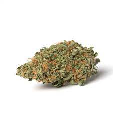NORTHERN HAZE NORTHERN HAZE