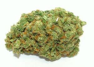 RANDY OG RANDY OG