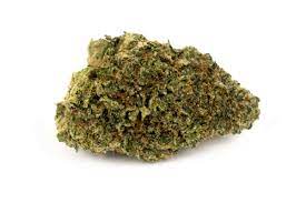 KING LOUIE OG KING LOUIE OG