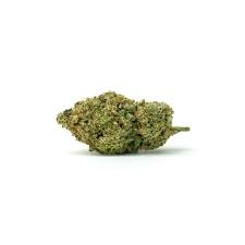 JEALOUSY OG JEALOUSY OG