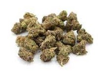 GELATO 41 GELATO 41